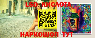 стаф Краснодар