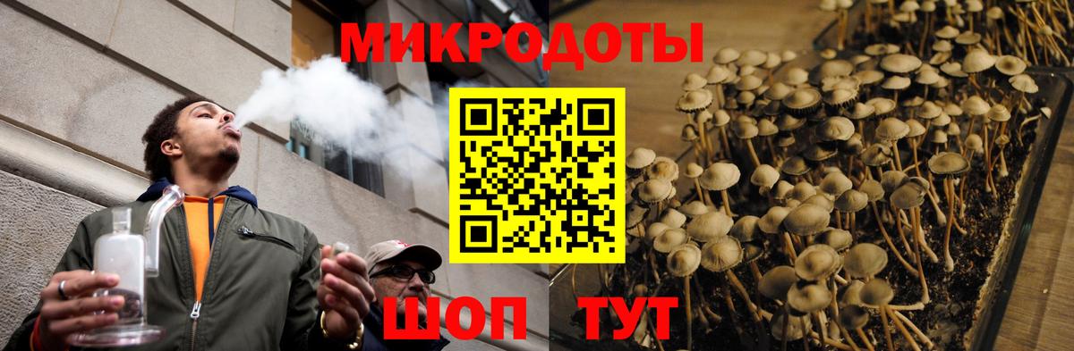 Галлюциногенные грибы MAGIC MUSHROOMS  Вход с VPN  Улан-Удэ 